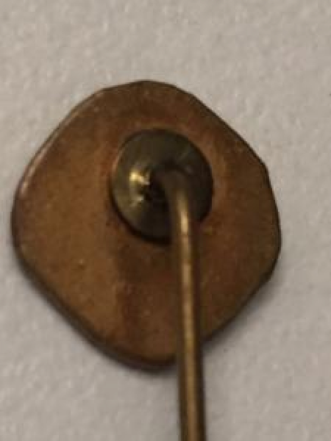 SPOR İLGİLİ MİNELİ ROZET