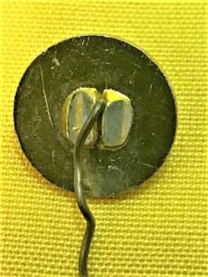 S.S.K.A SOUK MINE AKRİLİK İGNELİ RUS ROZET