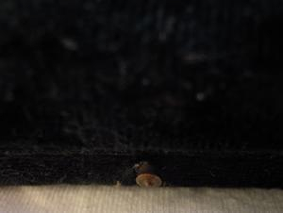 10. YIL BİRA VE MALT FABRİKALARI GRUBU BOYABAT BAYİLİĞİ 