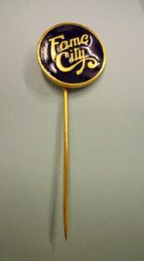 FAME CİTY İĞNELİ YAKA ROZET OYUN YERİ