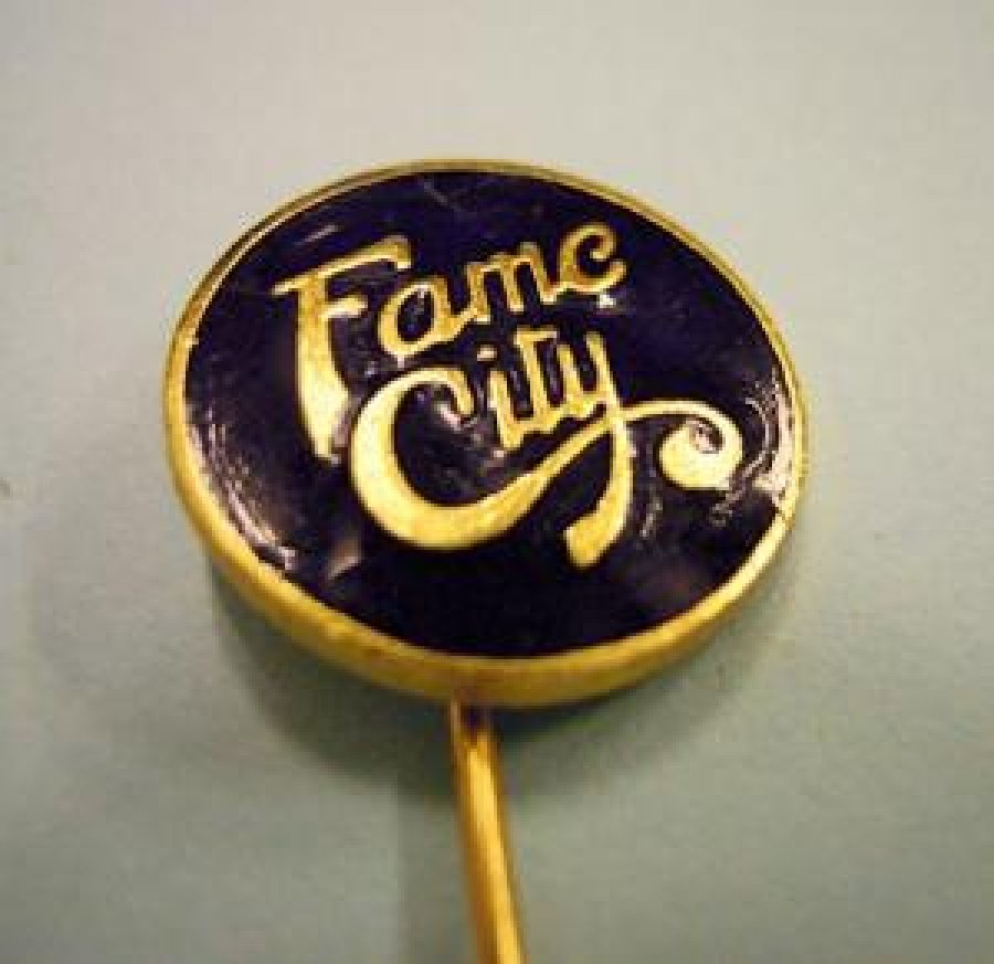 FAME CİTY İĞNELİ YAKA ROZET OYUN YERİ