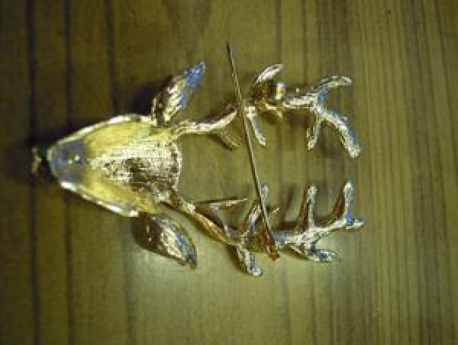 İĞNELİ GEYİK BAŞI BOYNUZLU BROŞ ROZET