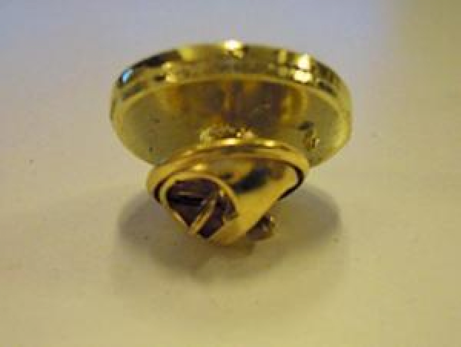 İYİ PARTİ GÜNEŞ ROZET