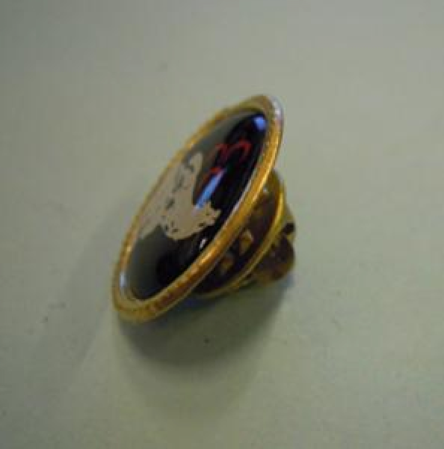 MİLLİYETÇİ HAREKET PARTİSİ 3 HİLAL MHP ROZET 