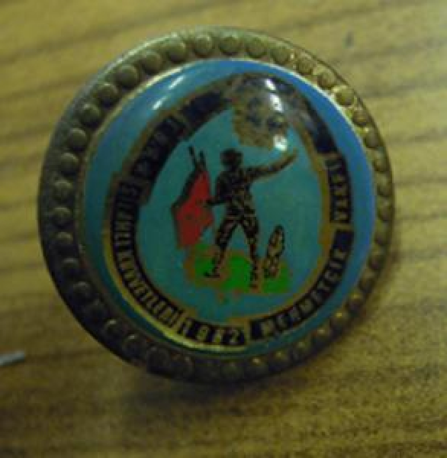 TÜRK SİLAHLI KUVVETLİ 1982 MEHMETÇİK VAKFI ROZET 