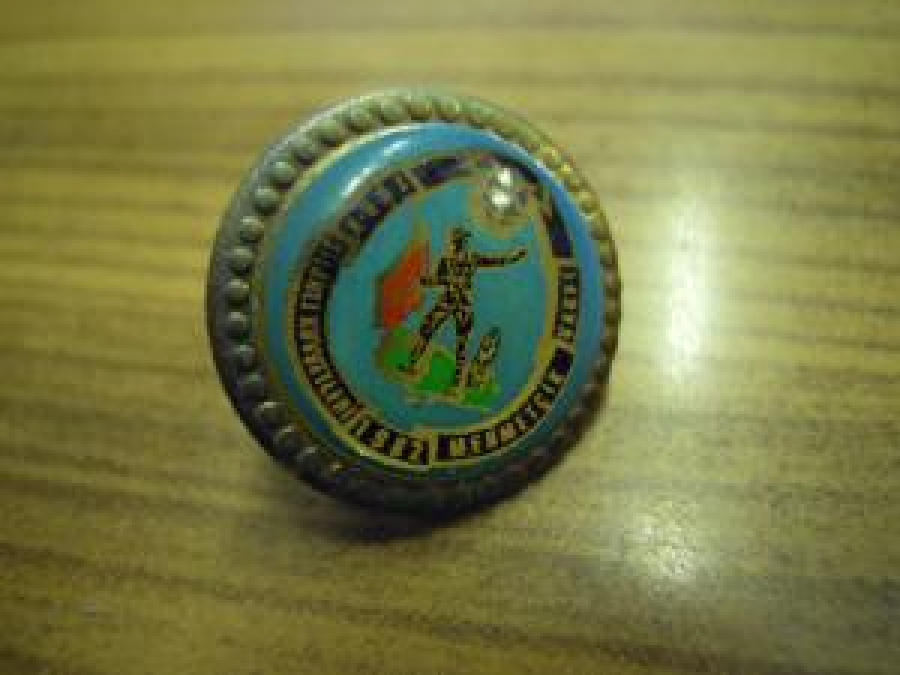 TÜRK SİLAHLI KUVVETLİ 1982 MEHMETÇİK VAKFI ROZET 