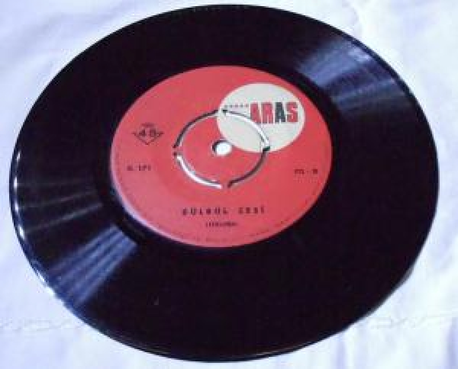 BÜLBÜL KUŞ SESİ KUŞLARA ÖĞRETİM DERSİ 45 LİK PLAK