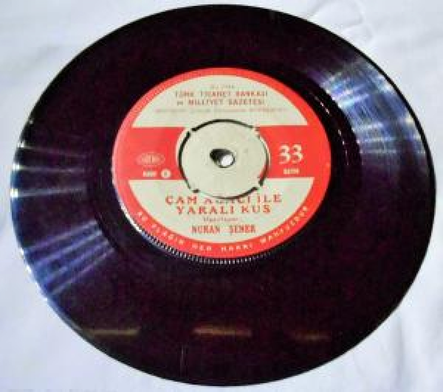 ÇAM AĞACI İLE YARALI KUŞ, PARMAK ÇOCUK MASALI 45 LİK 33 DEVİR 