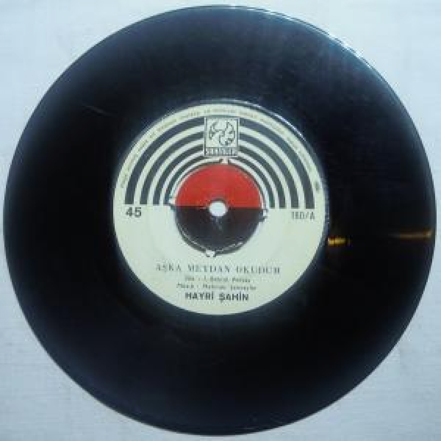 HAYRİ ŞAHİN 160/A 