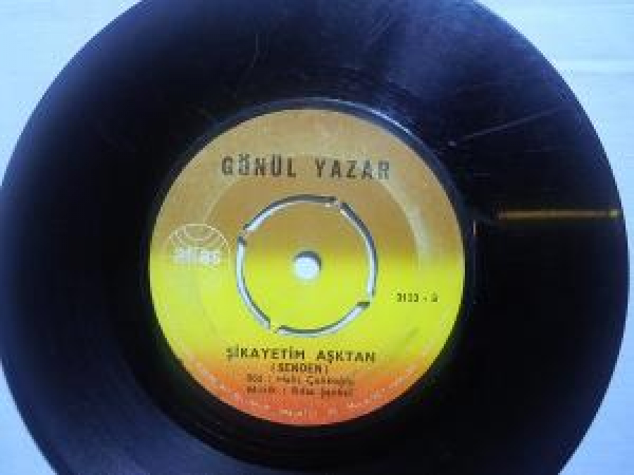 GÖNÜL YAZAR 