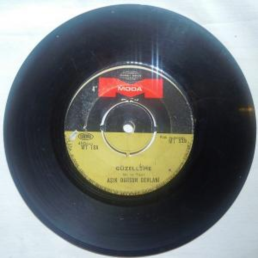 AŞIK DURSUN CEVLANİ 