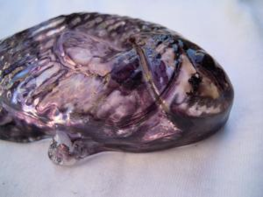 BALIK ŞEKLİNDE CAM KAĞIT AĞIRLIĞI