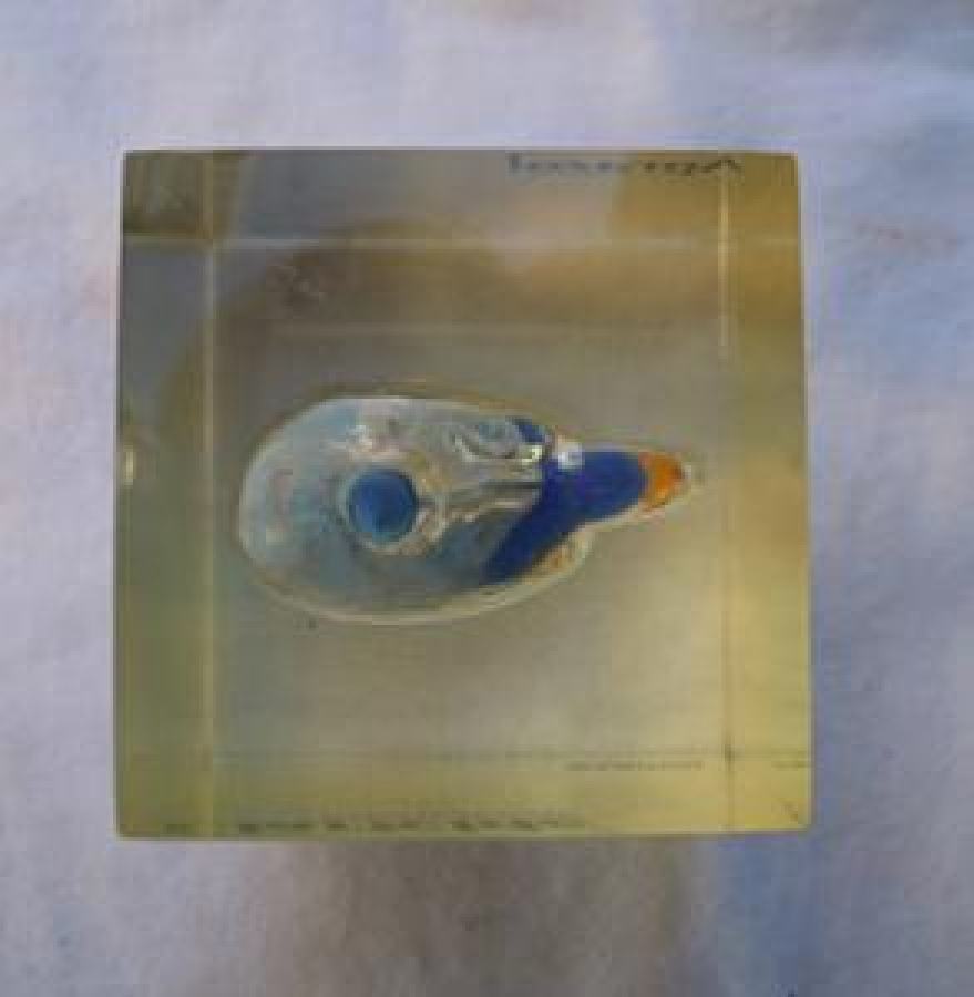 CLARİCİDE KLARİTOMİSİN BİLİM İLAÇ SAN. VE TİC A. Ş. APRAZOL CAM KAĞIT AĞIRLIĞI 