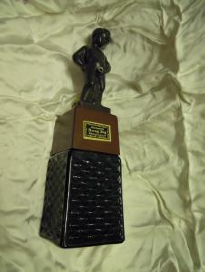 BONNY BOY CORDLESS ELECTRIC LİGUOR DİSPENSER PİLLİ LİKOR DOLUM ŞİŞESİ 