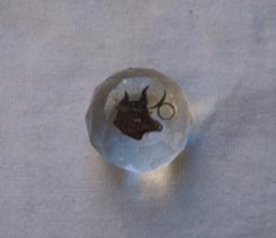 CAM KAĞIT AĞIRLIĞI GEYİK RESİMLİ