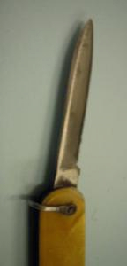 MAKASLI PASLANMAZ ÇELİK GÖVDE KEMİK KAPLAMA ÇAKI 