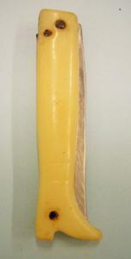 NEVZAT TOPAL OĞLU YATAĞAN DENİZLİ ÇAKI BOYNUZ SAP 