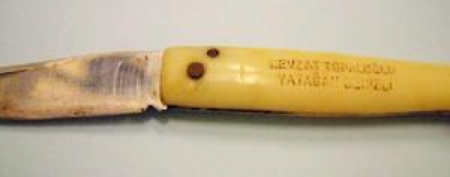 NEVZAT TOPAL OĞLU YATAĞAN DENİZLİ ÇAKI BOYNUZ SAP 