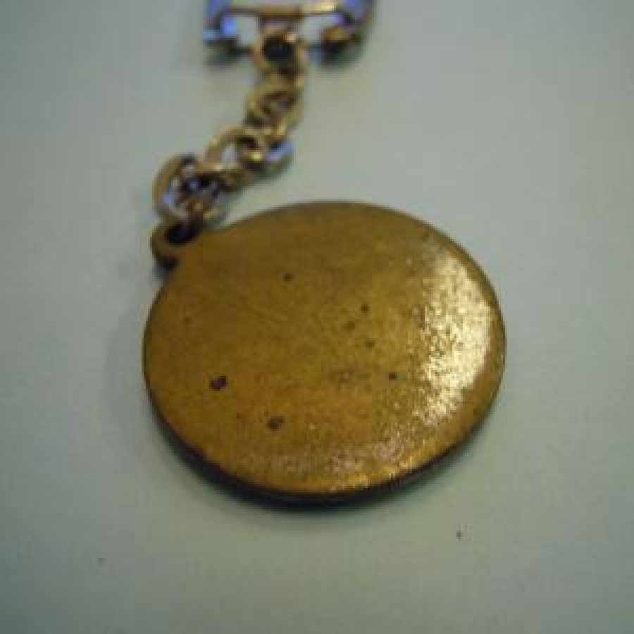 AK BANK KROM KAPLAMA ORTASI MİNELİ BANKA ANAHTARLIK 