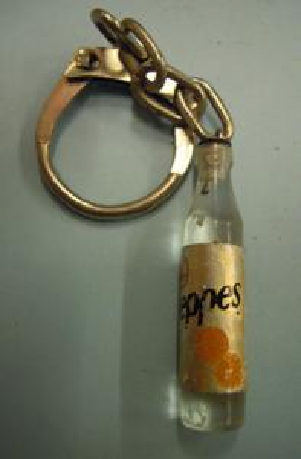 SCHWEPPES CİLEKLİ MEŞRUBAT ŞİŞE ANAHTARLIK