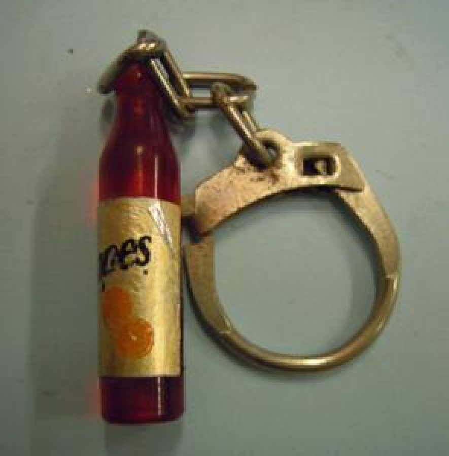 SCHWEPPES MEYVELİ MEŞRUBAT ŞİŞE ANAHTARLIK