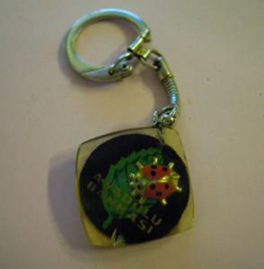 ANADOLU BANKASI POLİ KARBON ANAHTARLIK