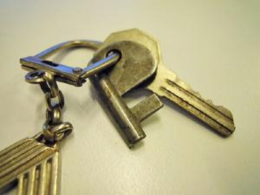 RENO OTO ARMA KROM METAL ANAHTARLIK 2 ADET ANAHTAR ÜZERİNDE 