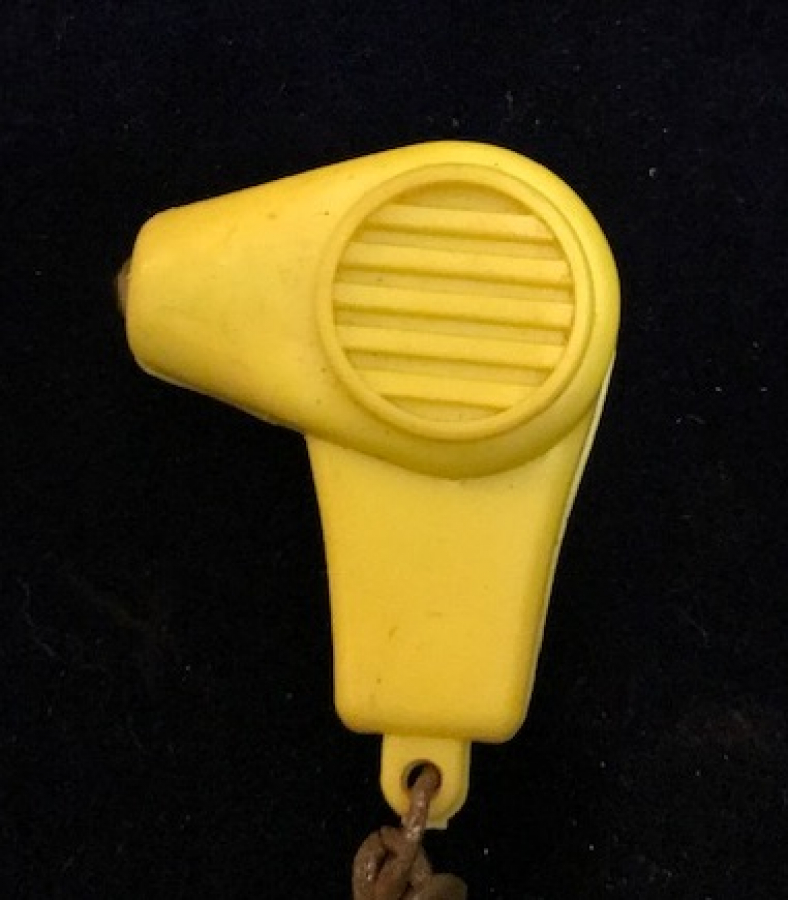 SAC KURUTMA LAMBA ANAHTARLIK  PLASTİK TİNİ LİTA