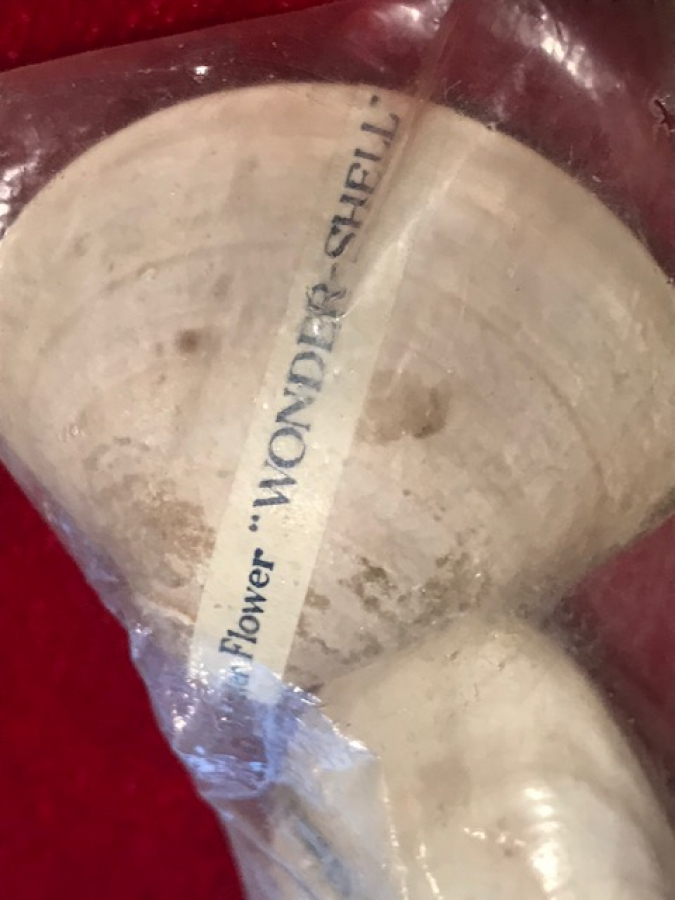 FLOWER WONDER SHELL 1950 ARTIFICIAL WATER  SU CİCEGİ İSTİRİDYE