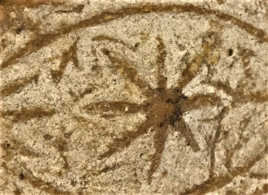 NADİR 1900 YILLAR  OSMANLI KİLİSEDE YAPILAN  KİLİSEYE YARDIM AMACLI TEBERRU SABUNU ÜZERİ GÖZ NAZAR TEMALI