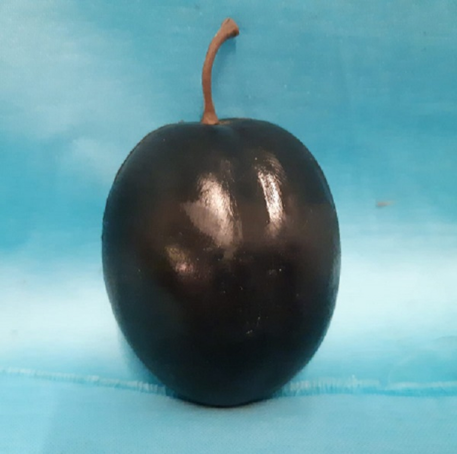 PLASTİK SÜS MEYVALAR 1970 YILLAR