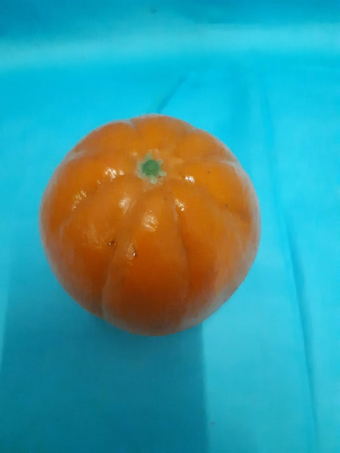 PLASTİK SÜS MEYVALAR 1970 YILLAR