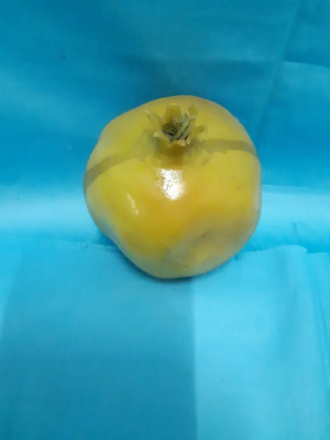 PLASTİK SÜS MEYVALAR 1970 YILLAR