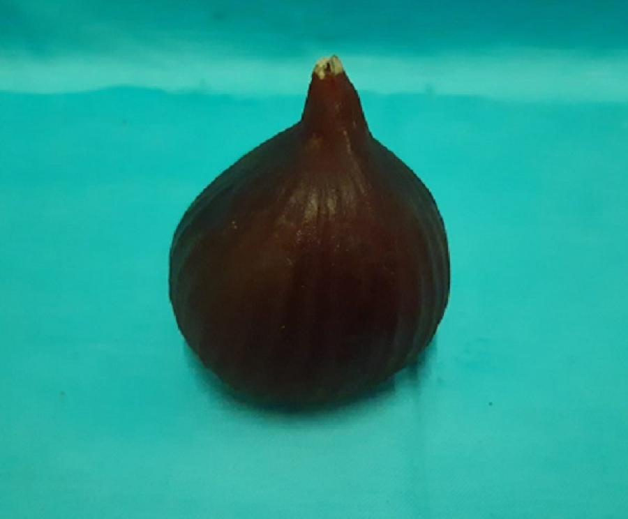 PLASTİK SÜS MEYVALAR 1970 YILLAR