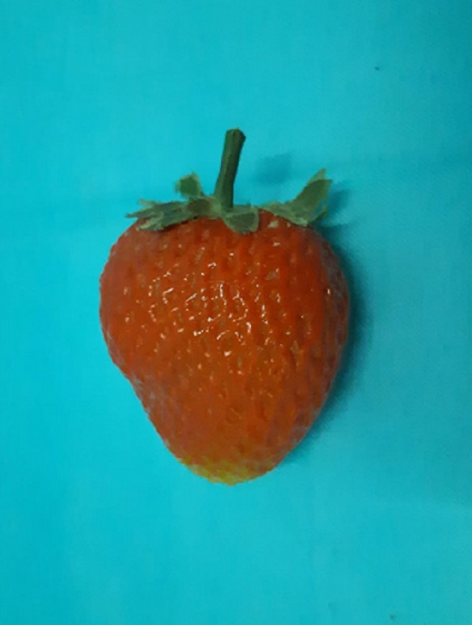 PLASTİK SÜS MEYVALAR 1970 YILLAR