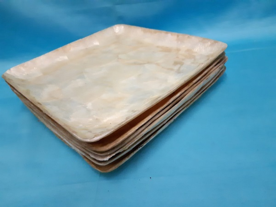 TABAK MADE İN PHILIPPINES SIKIŞTIRILMIŞ SEDEFDEN 6 ADET