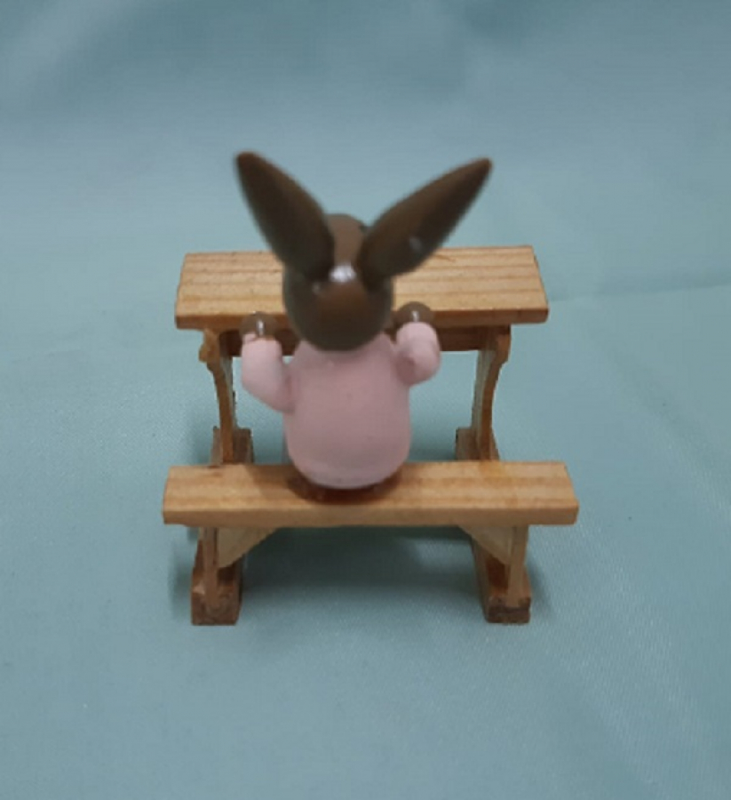 AHŞAP OKUL SIRASINDA OTURAN TAVŞAN KUTUSUNDA 3 ADET