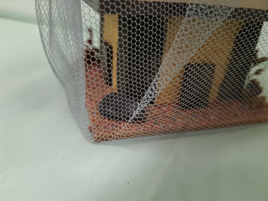 SAFRANBOLU EVLERİ ŞEKERCİZADE LOKUMUN ADI SÜS EVİ