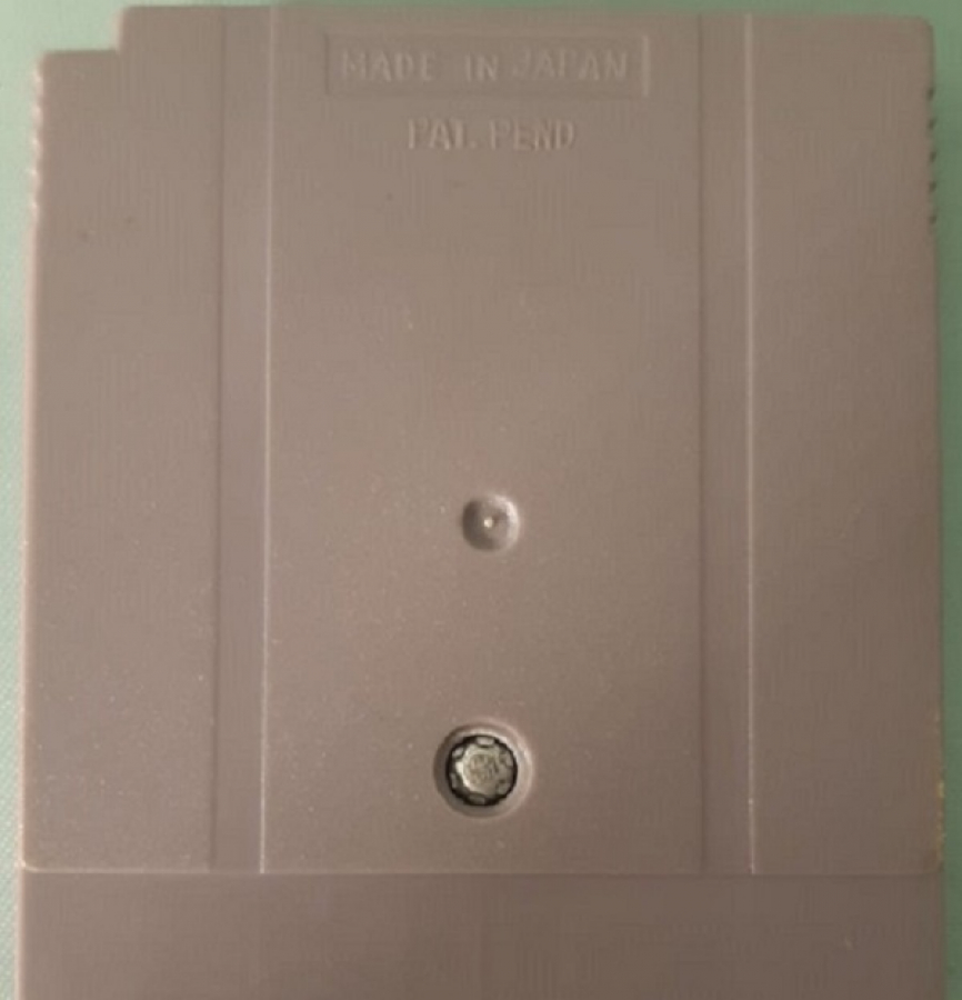 TURN AND BURN NİNTENDO GAME BOY OYUN KASEDİ