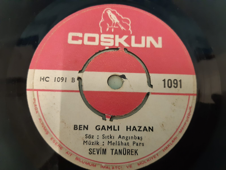 COŞKUN PLAK SEVİM TANÜREK BEN GAMLI HAZAN , KULAKLARIN ÇINLASIN 45 LİK YERLİ PLAK 