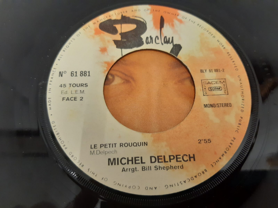 MICHEL DELPECH LES DIVORCES , LE PETIT ROUQUIN 45 LİK YABANCI PLAK 
