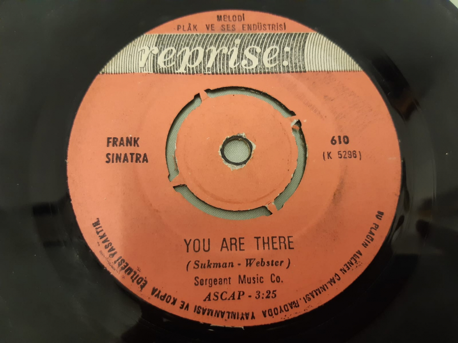 REPRİSE PLAK YOU ARE THERE THE WORLD WE KNEW 45 LİK YABANCI PLAK 