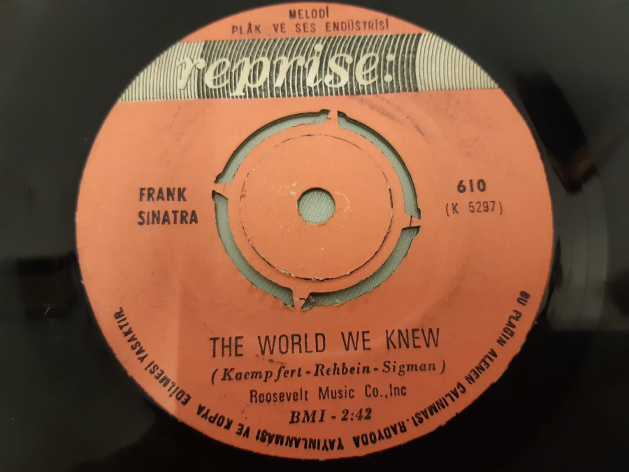 REPRİSE PLAK YOU ARE THERE THE WORLD WE KNEW 45 LİK YABANCI PLAK 