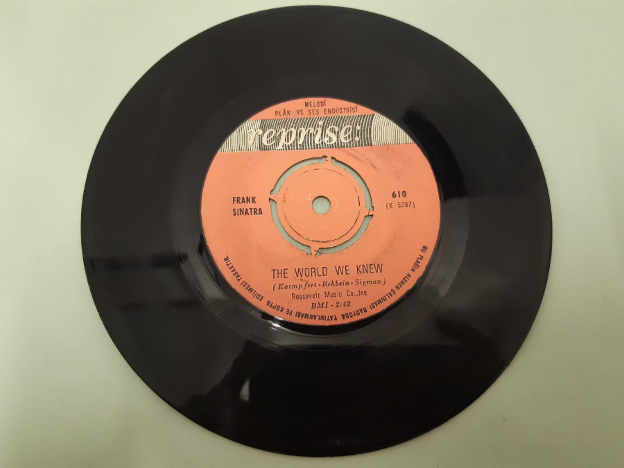 REPRİSE PLAK YOU ARE THERE THE WORLD WE KNEW 45 LİK YABANCI PLAK 