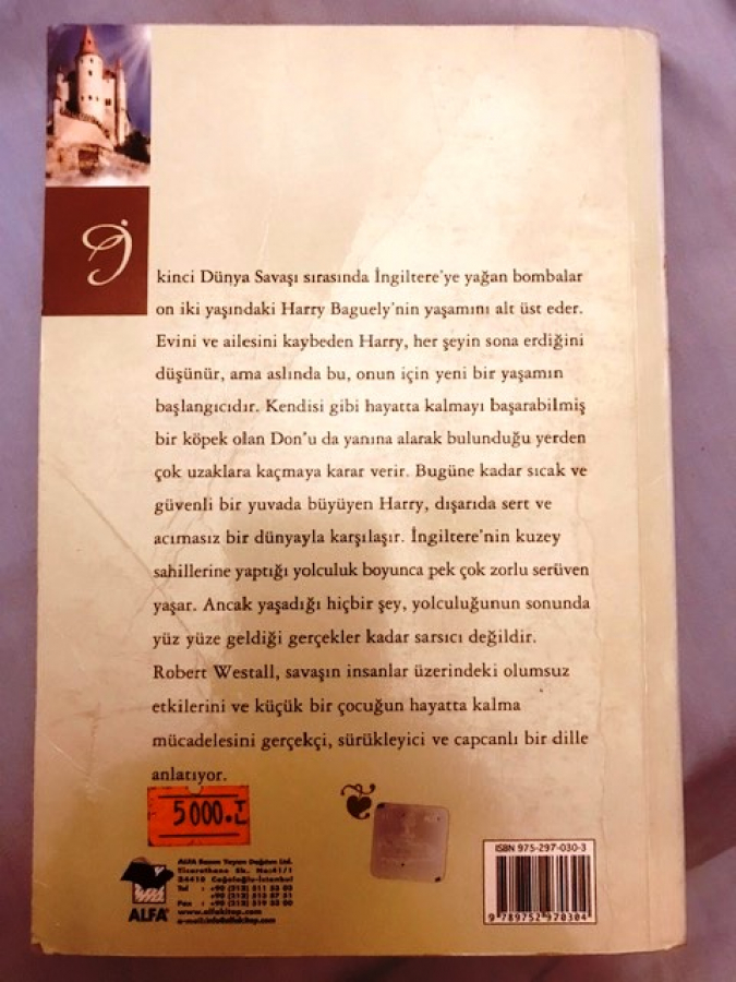 ROBERT WESTALL DENİZ KIYISINDA KRALLIK