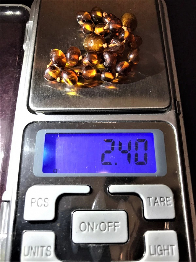 KEHRİBAR AMBER BİLEKLİK 23 PARCA TANEDEN DİZİLİ 16 CM BOYUNDA