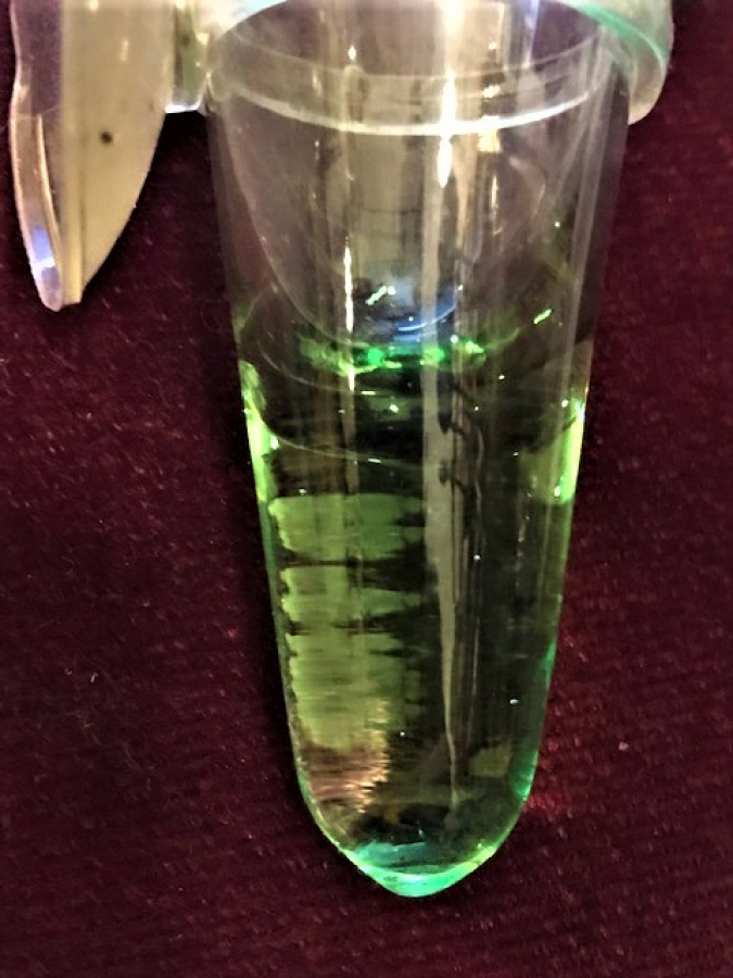 SU YEŞİLİ RENK OTO CAM VAZO KARANFİLLİK ÖN CAM VANTUZLU