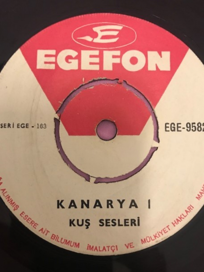 KANARYA KUŞ SESLERİ KUŞ DERS PLAGI 45 LİK YERLİ PLAK