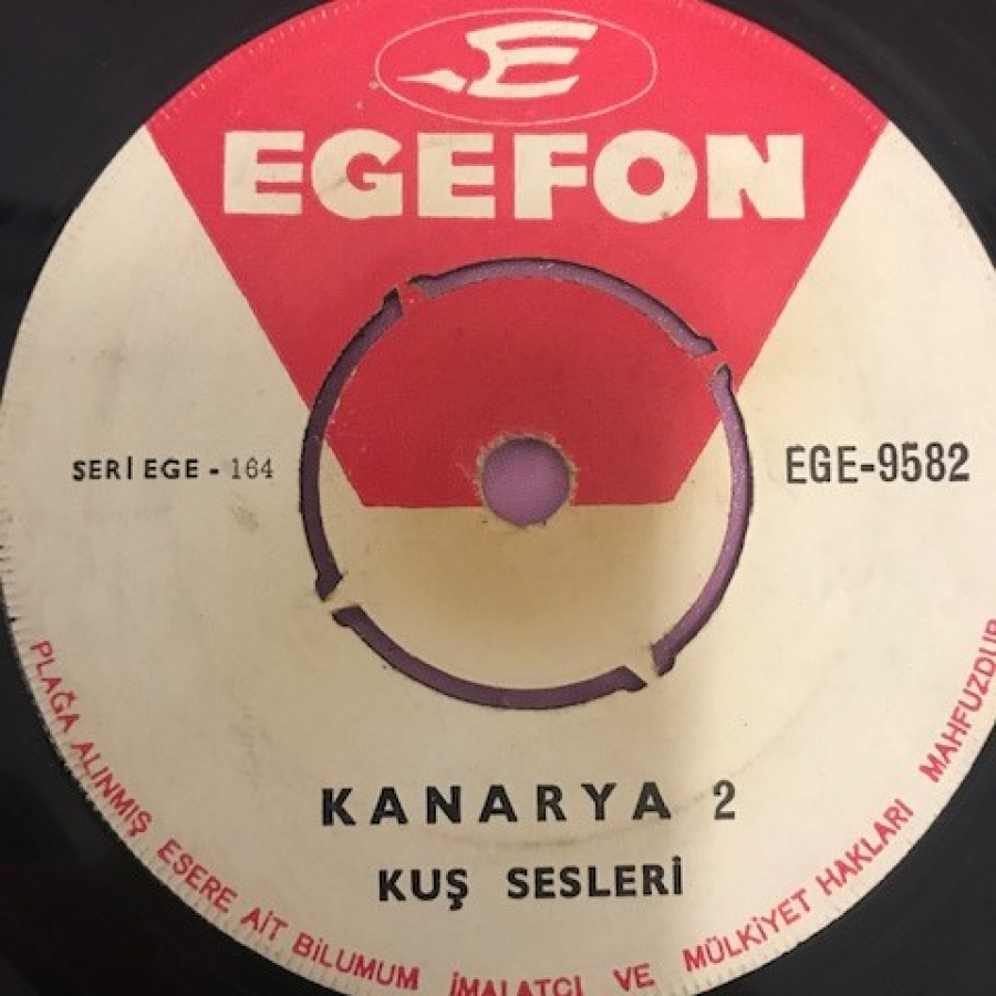 KANARYA KUŞ SESLERİ KUŞ DERS PLAGI 45 LİK YERLİ PLAK