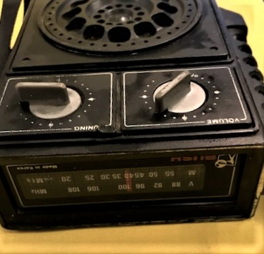 BUSH BV5672 2 BAND RANK RADIO PİLLİ TAŞINABİLİR